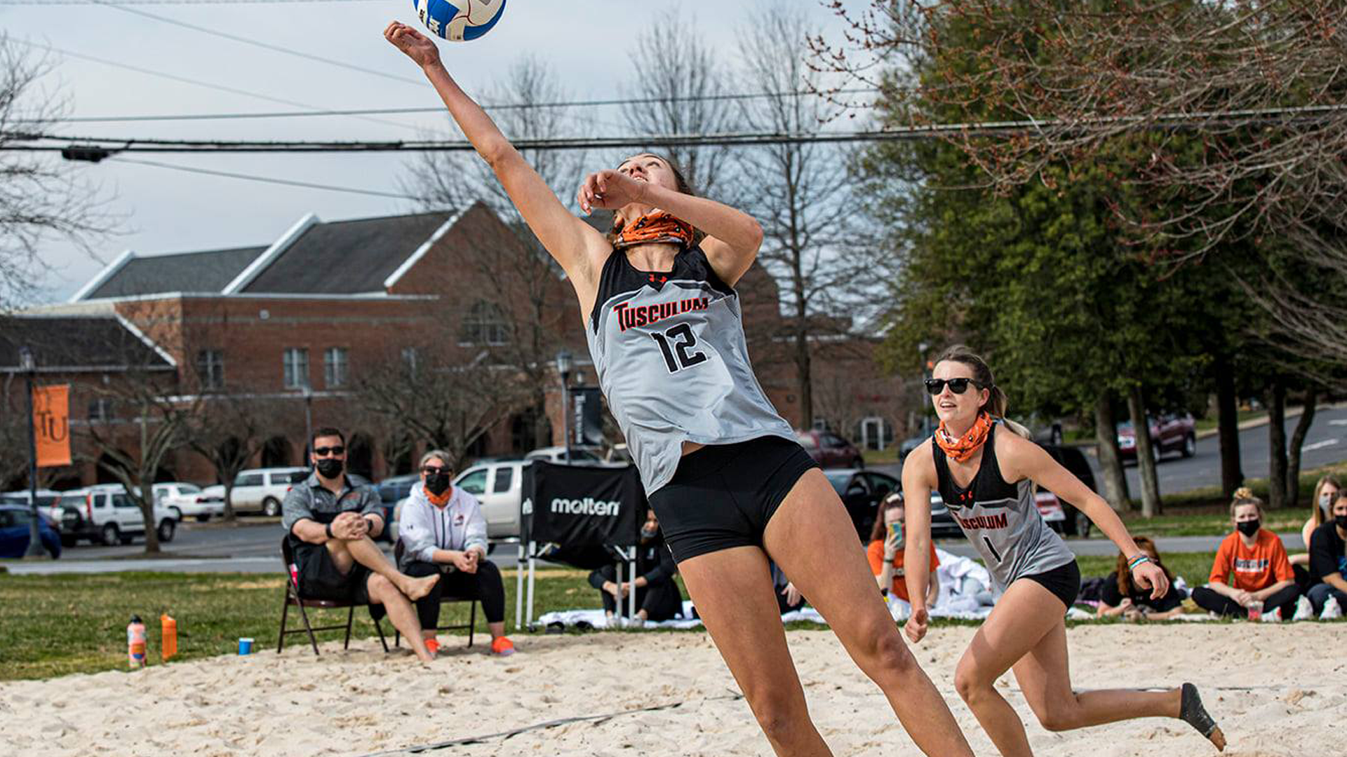 Tusculum felled by ranked Panthers