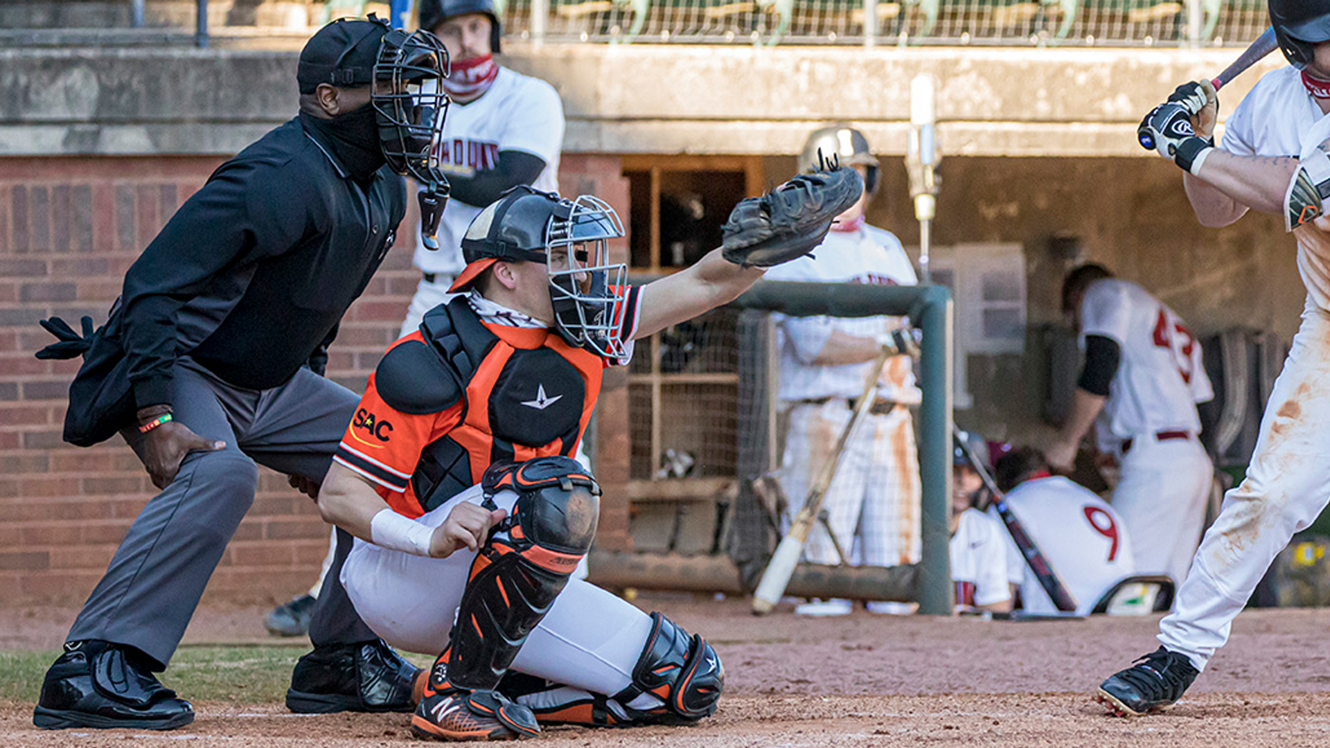 Pioneers travel to Young Harris, host UVA Wise in SAC series opener