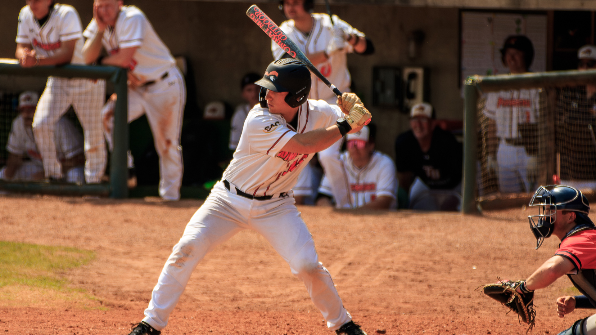 Tusculum baseball splits SAC pair with Eagles