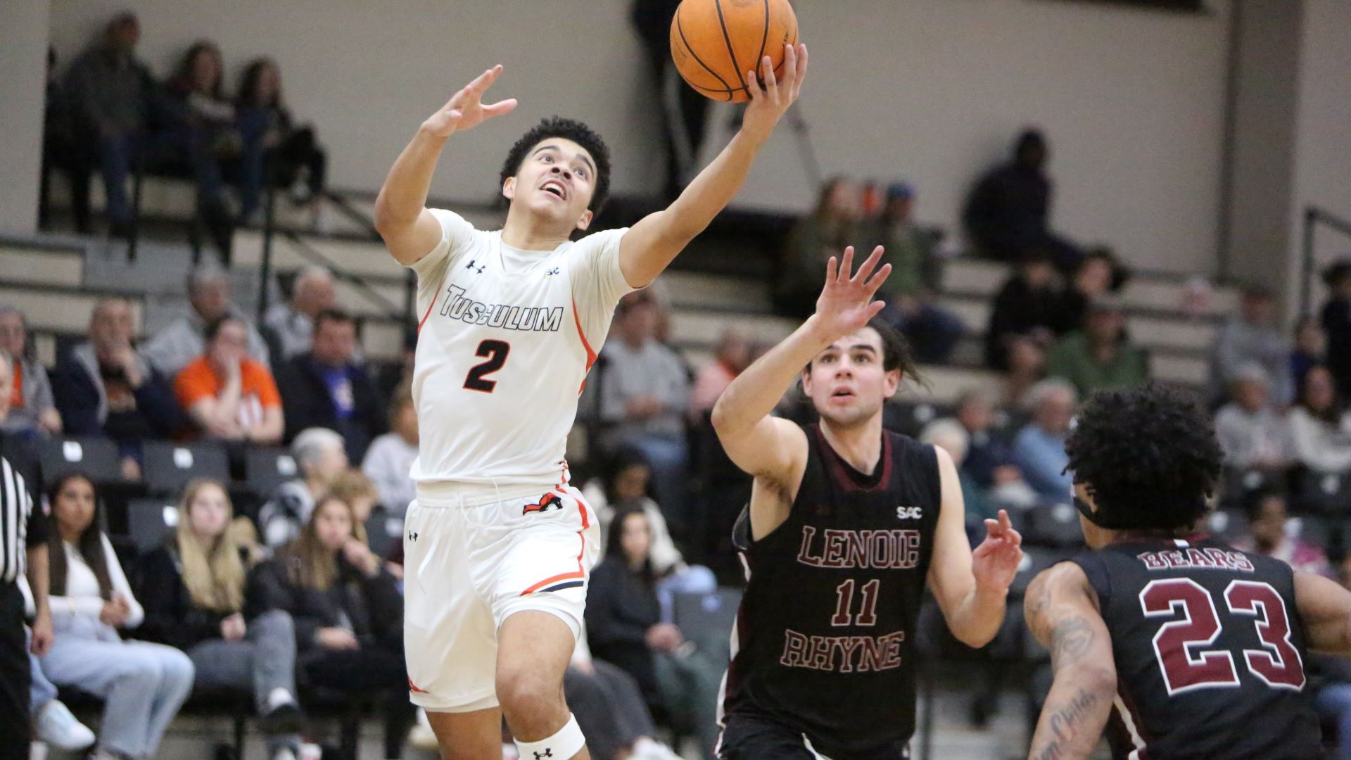 Bryce Jackson scored 21 points in Saturday's home game with No. 18 Lenoir-Rhyne (photo by Dom Donnelly)
