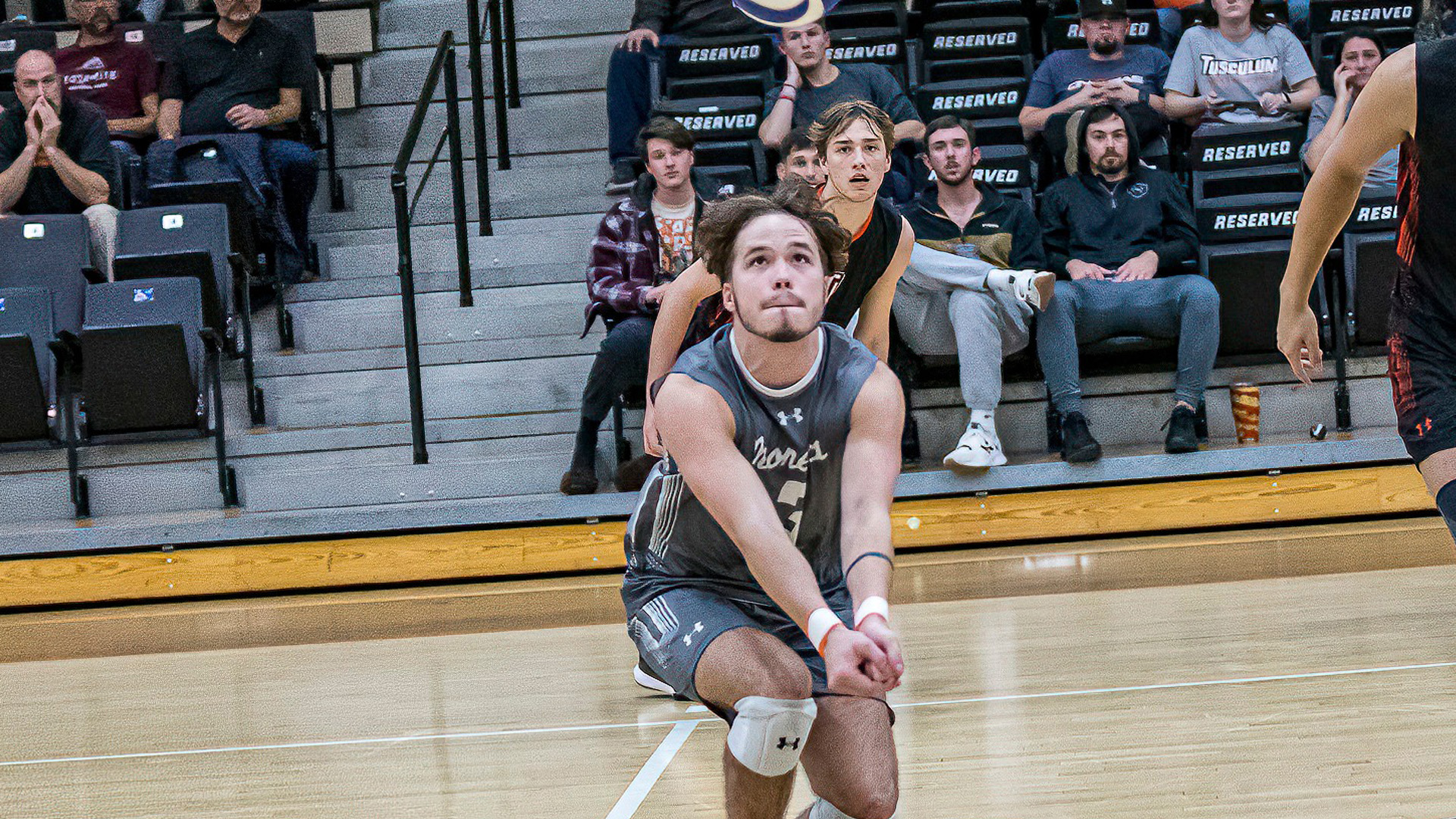 Pioneers clipped at Charleston