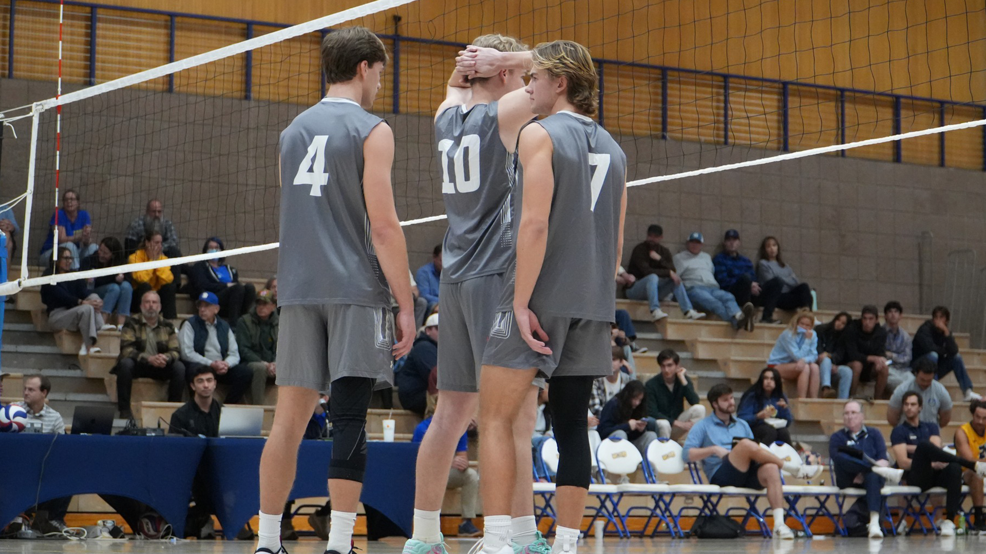 men's volleyball players