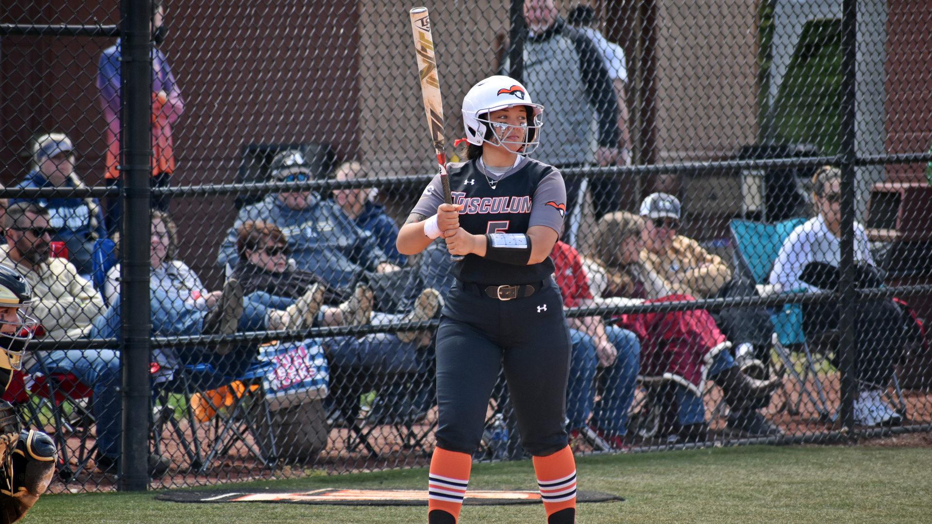 Softball opens home slate