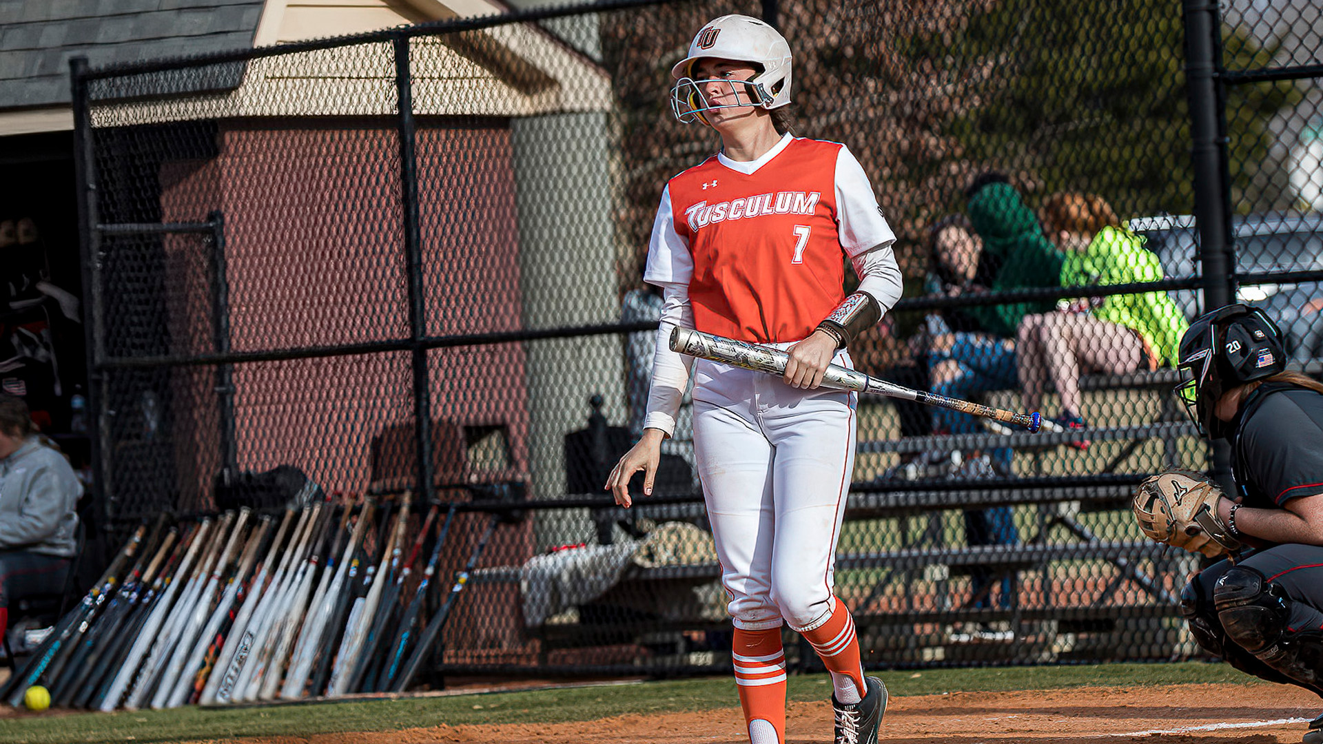 Pioneers tame Lions on the road