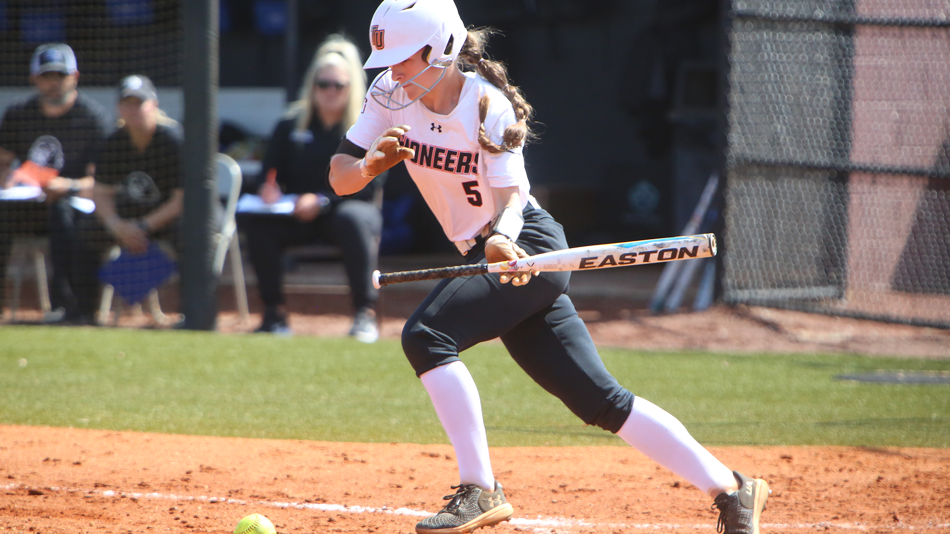 #24 Tusculum, Lenoir-Rhyne share SAC victories