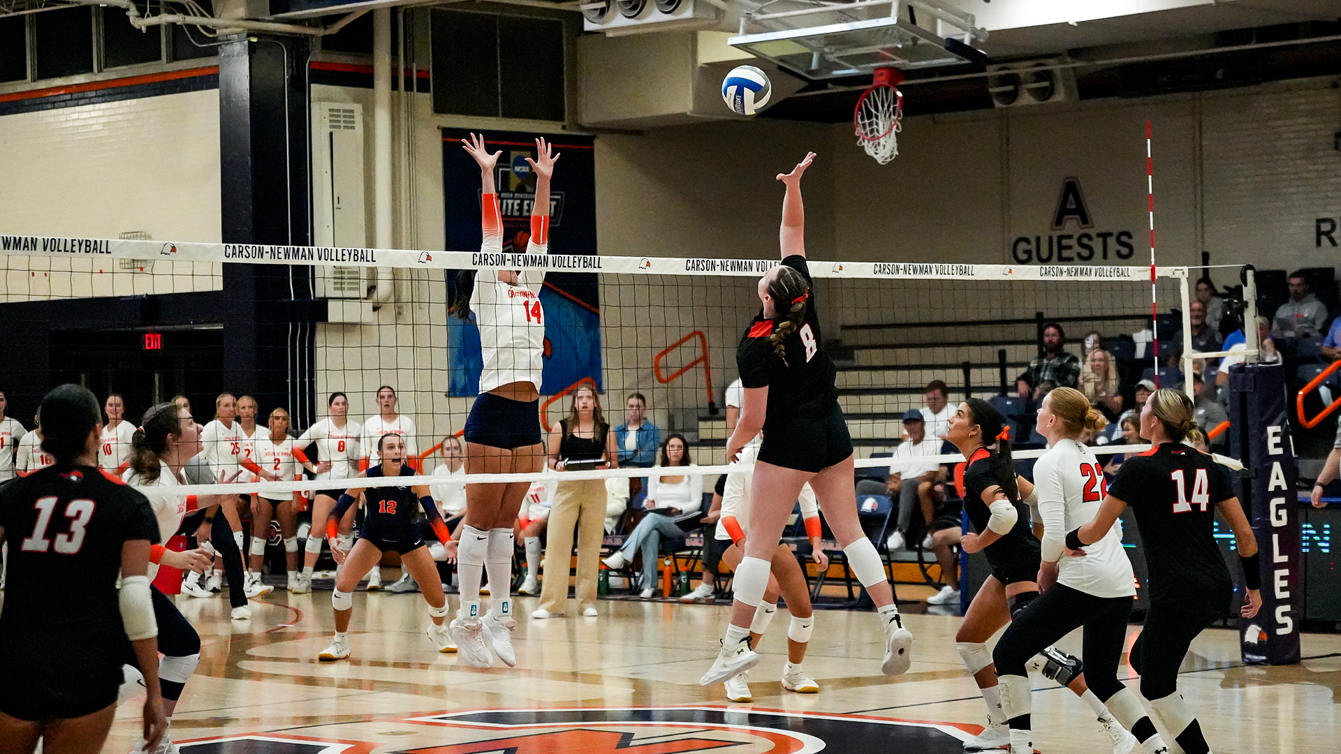 Eagles end Pioneers' win streak